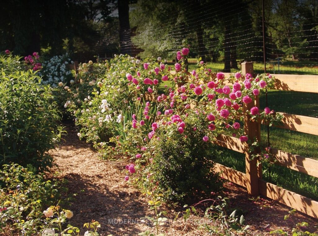 29 Beautiful Garden Fence Ideas