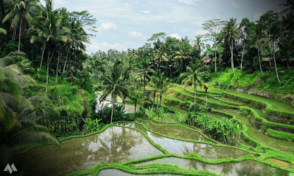 Bali Travel Guide